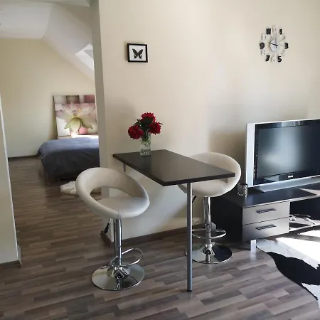Cozy Little City Penthouse With Terrace And Free Parking Lejlighed *